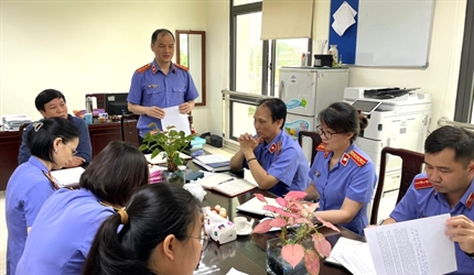 Chi bộ Thanh tra sinh hoạt chuyên đề “Nâng cao chất lượng công tác kiểm...